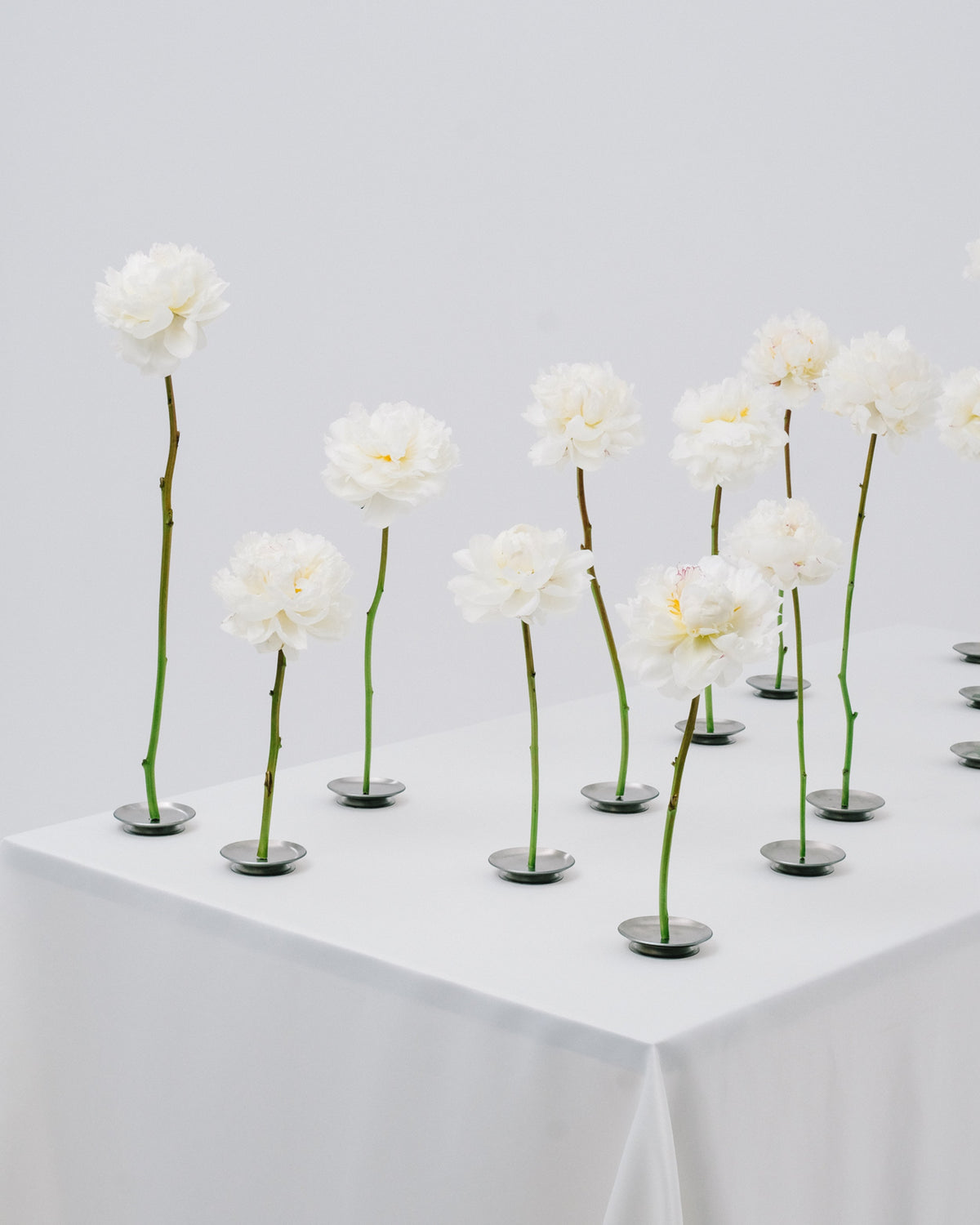 CORE TABLEWARE