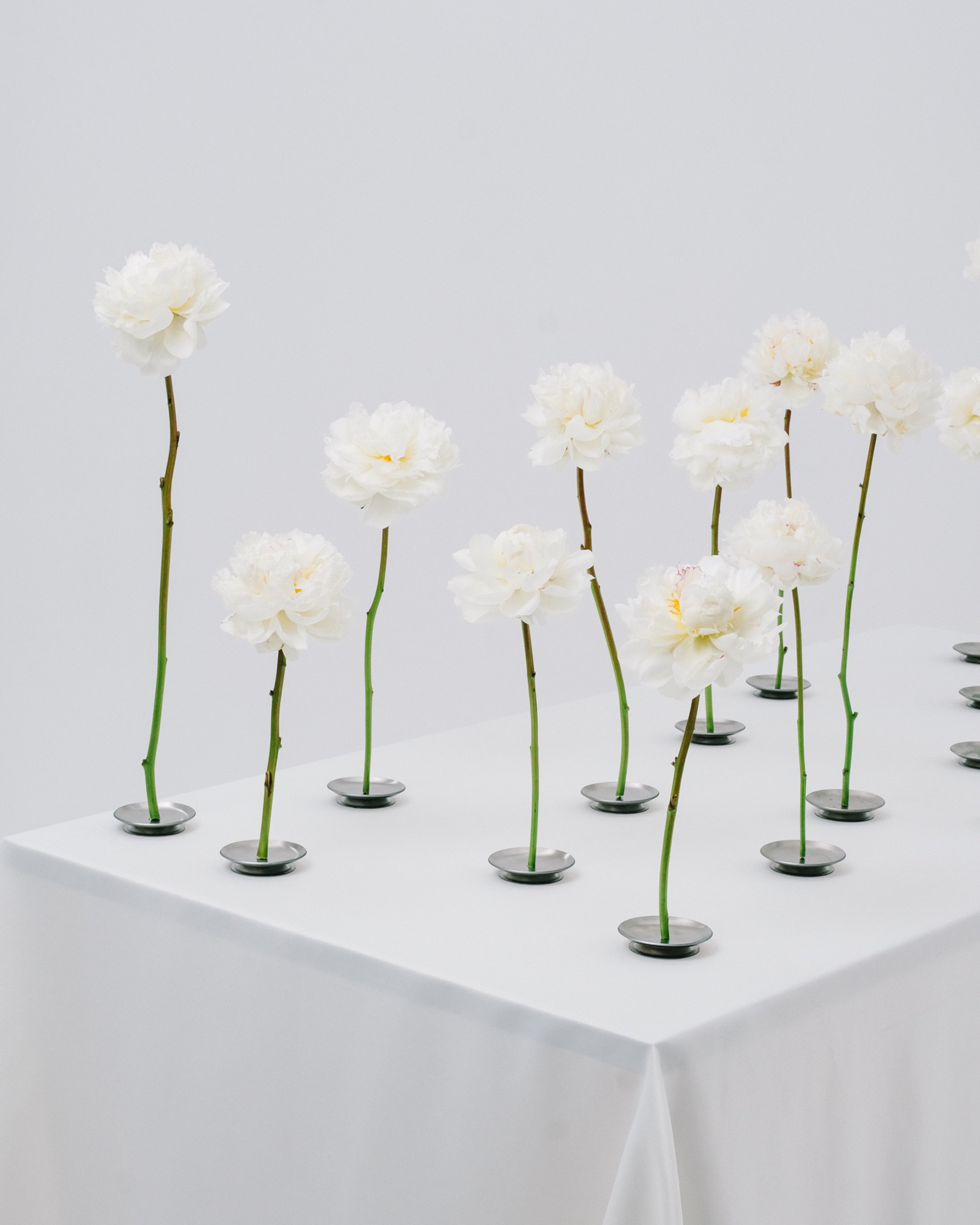 CORE TABLEWARE