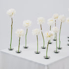 FLOWER STAND SET